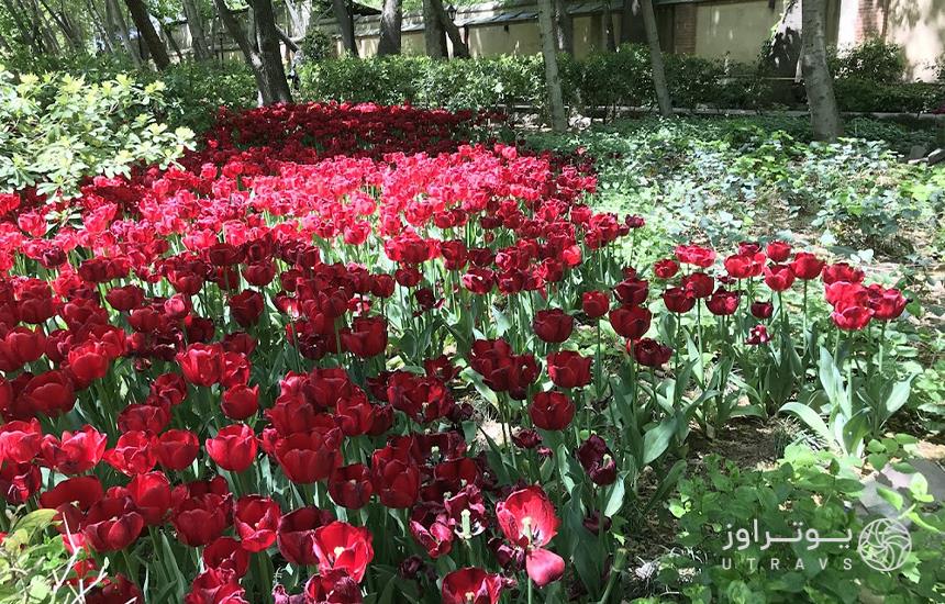 Vanak Persian Garden